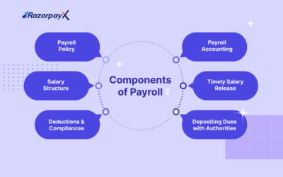 The Role of Payroll in Financial Forecasting and Budgeting for Businesses 1